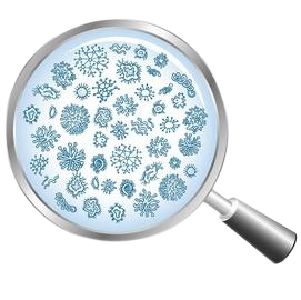 真菌：念珠菌、曲霉、隐球菌…